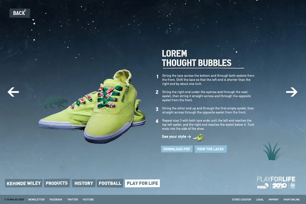 kennykimwastaken_pumaafrica8.jpg