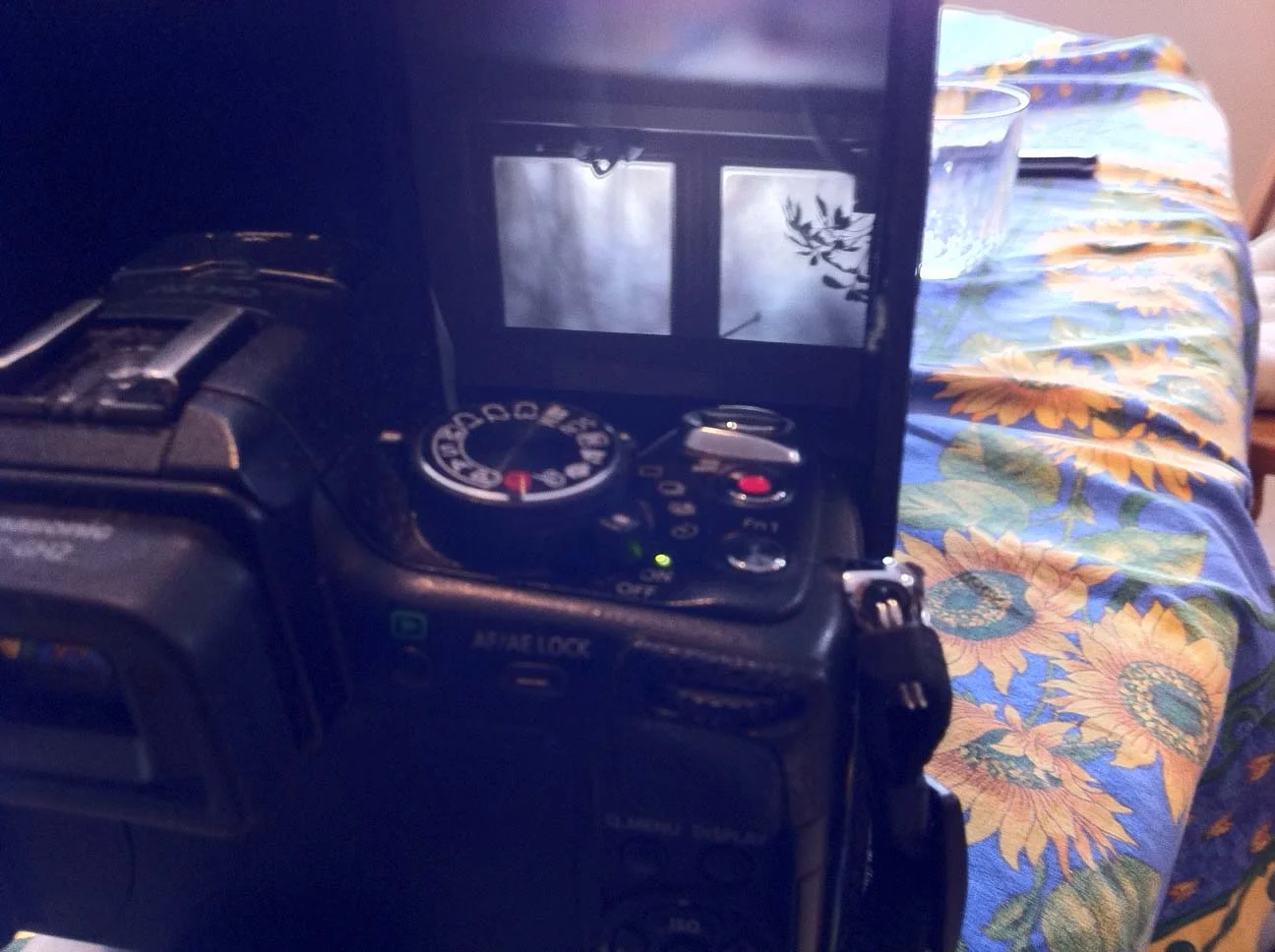 Here, with the top and back removed, you get an idea of what my camera is seeing. Note the shallow DoF and flipped picture