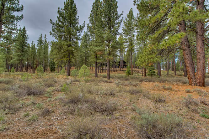 7445 Lahontan Dr Truckee CA-small-010-Looking Back toward Front of-666x444-72dpi.jpg