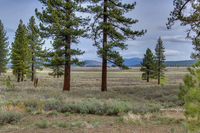 7445 Lahontan Dr Truckee CA-small-009-View from Back of Property-666x444-72dpi.jpg