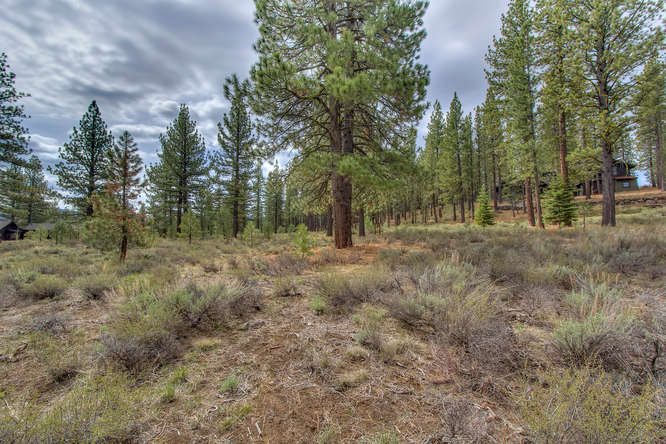 7445 Lahontan Dr Truckee CA-small-007-Looking Back toward Front of-666x444-72dpi.jpg