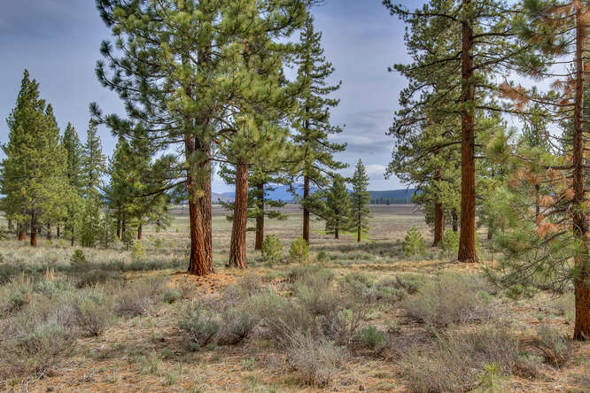 7445 Lahontan Dr Truckee CA-small-006-View from within the Property-666x444-72dpi.jpg