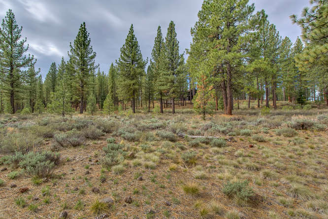 7445 Lahontan Dr Truckee CA-small-008-Looking Back toward Front of-666x444-72dpi.jpg