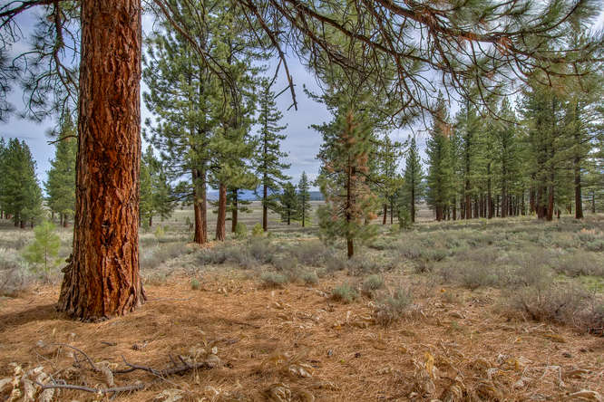 7445 Lahontan Dr Truckee CA-small-005-View from within the Property-666x444-72dpi.jpg