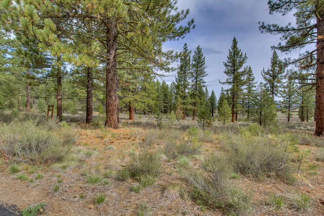 7445 Lahontan Dr Truckee CA-small-002-Front of Property-666x444-72dpi.jpg