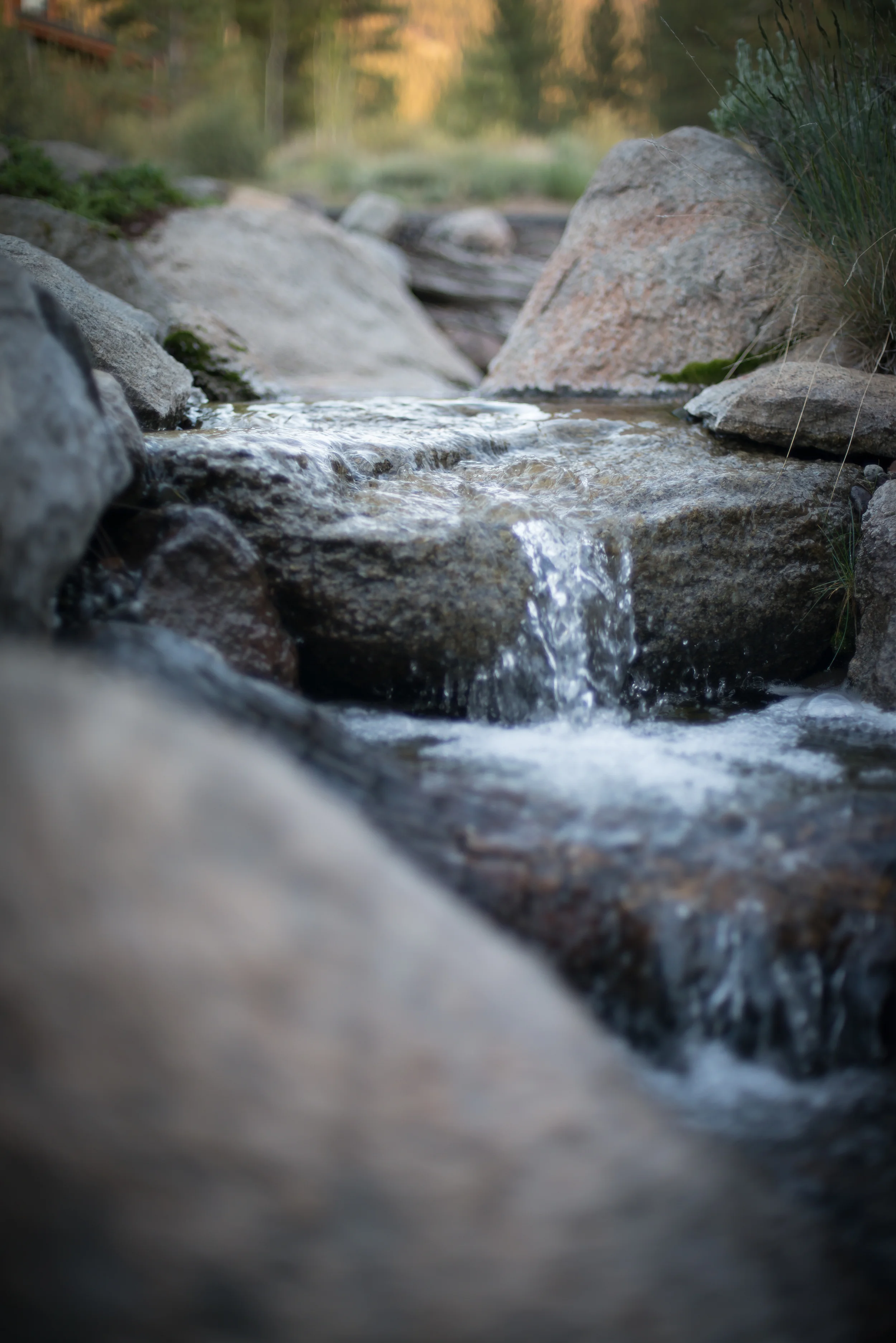 20150528_0004-1.jpg