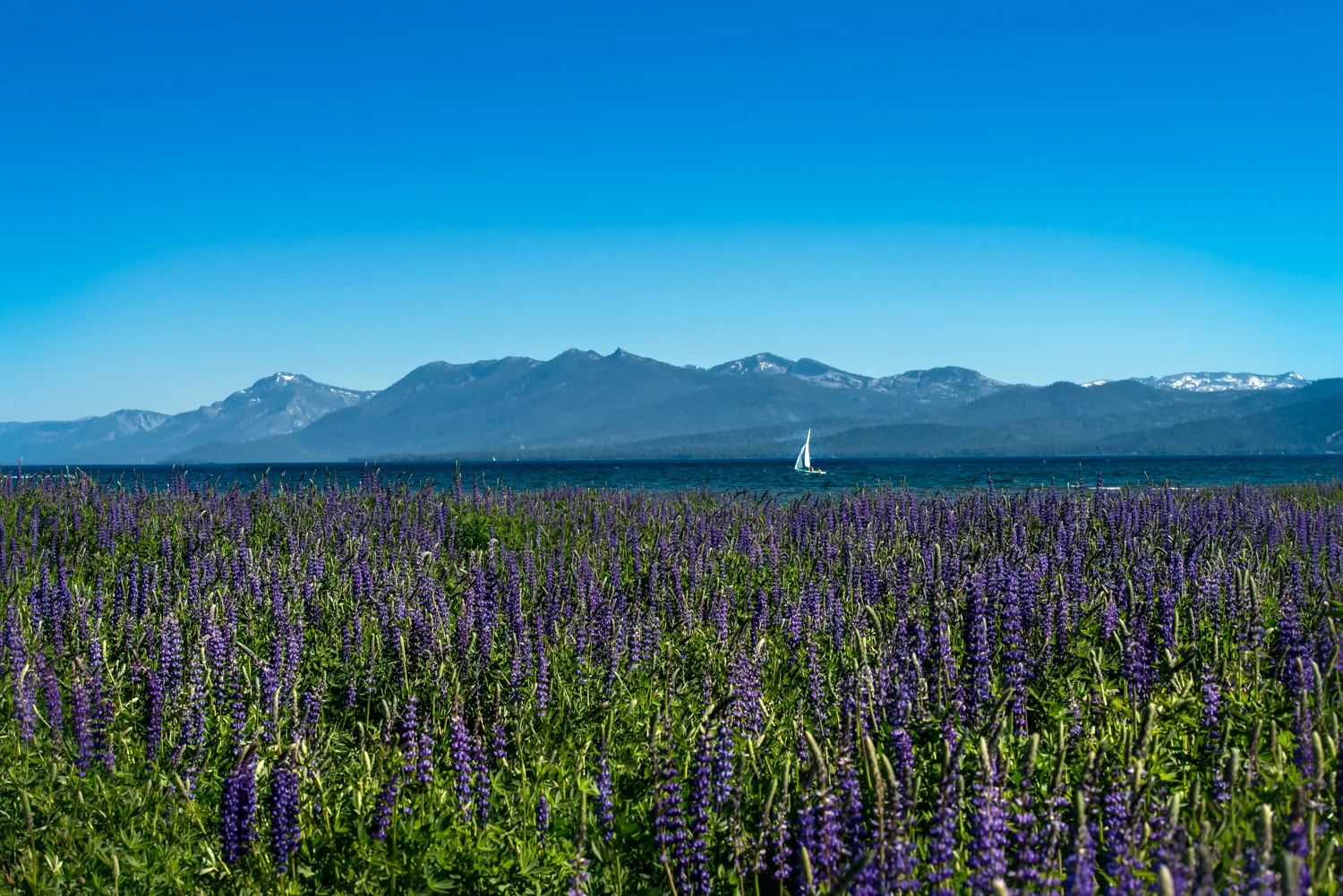 20150613_0019.jpg
