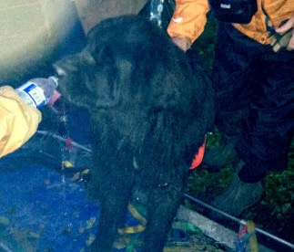Moses being given water by a member of WASART moments after his rescue