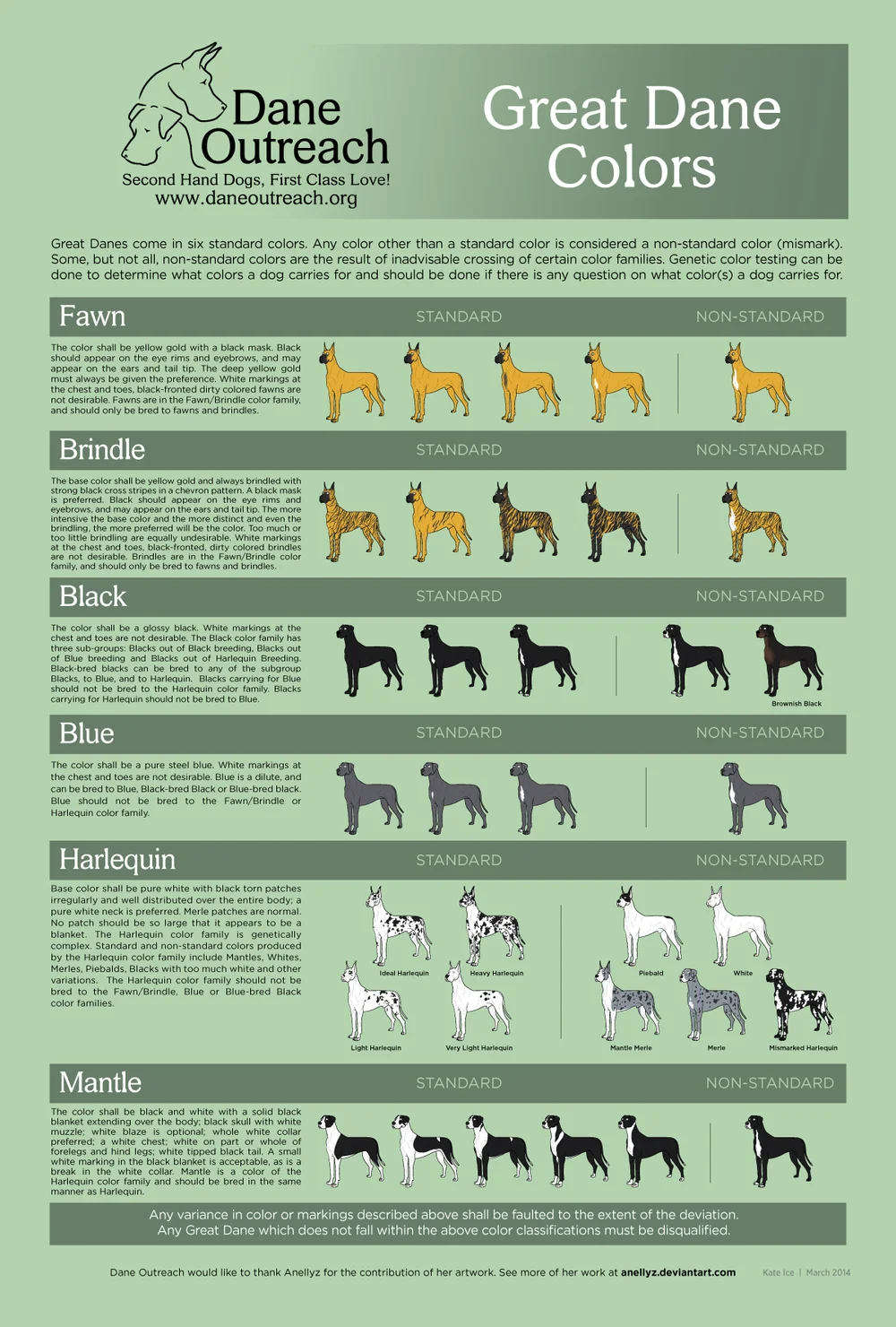 Great Dane Colors — Dane Outreach