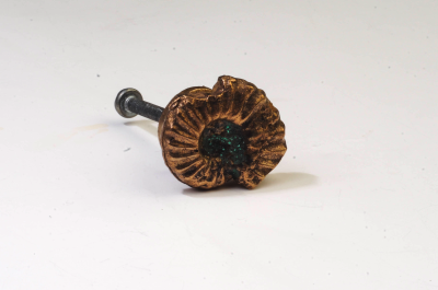 Ammonite Drawer Pull D-231