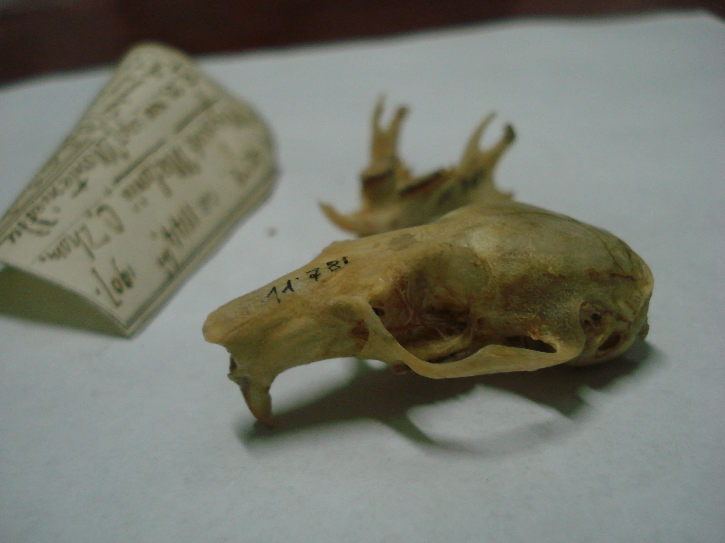 DSC08789.JPG