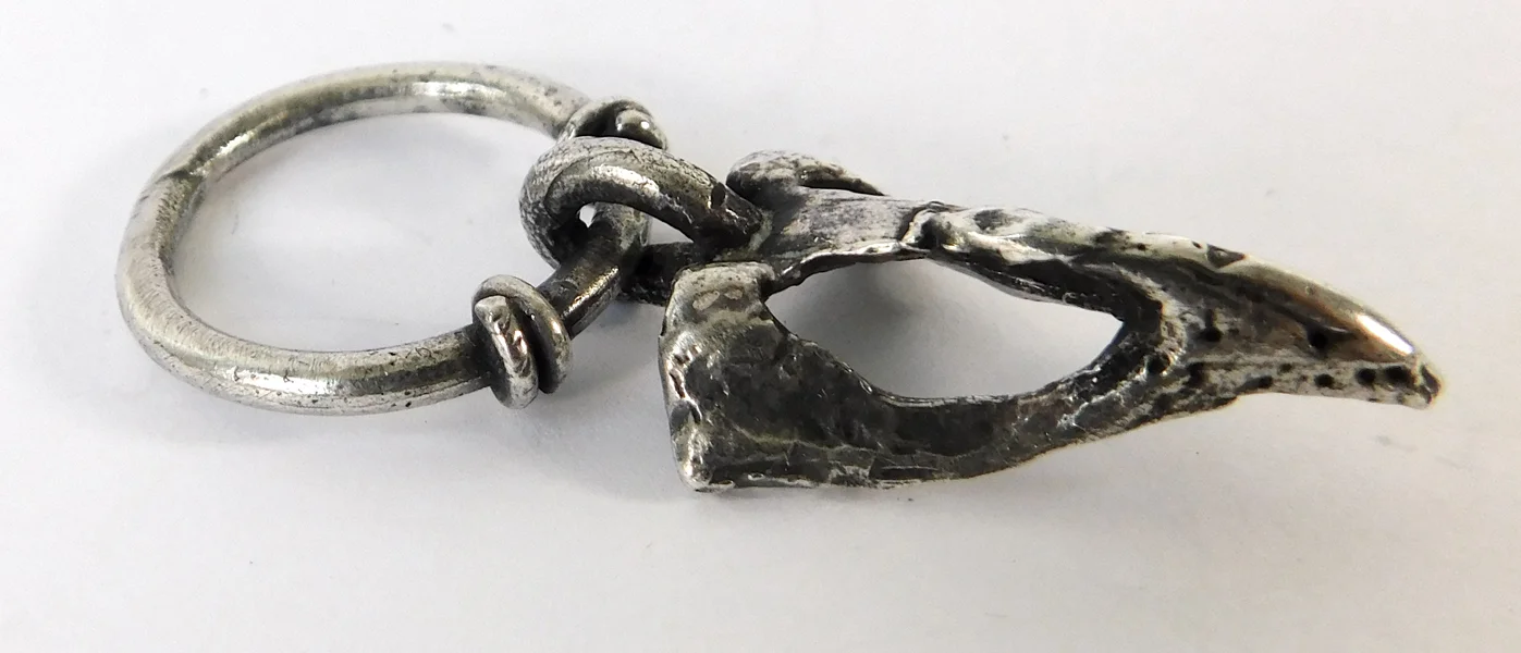 Bird-beak-ring-ss1.jpg