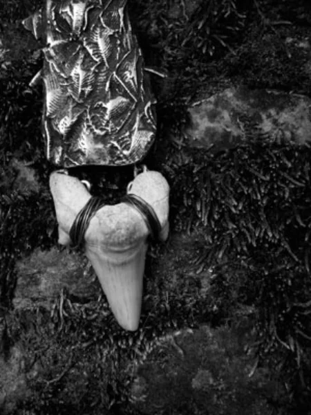 N-shark-rooth-cf-necklace.jpg