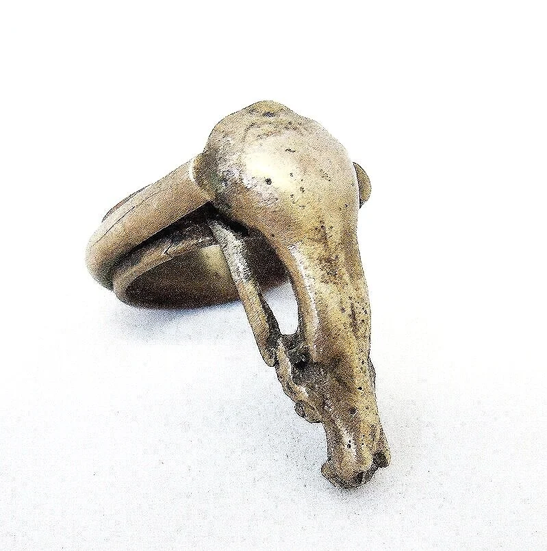 Ring_-Talpa-Romana%2Bcopy.jpg