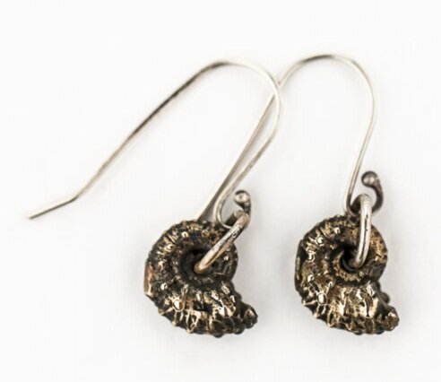 Ammonite Earrings- Bronze