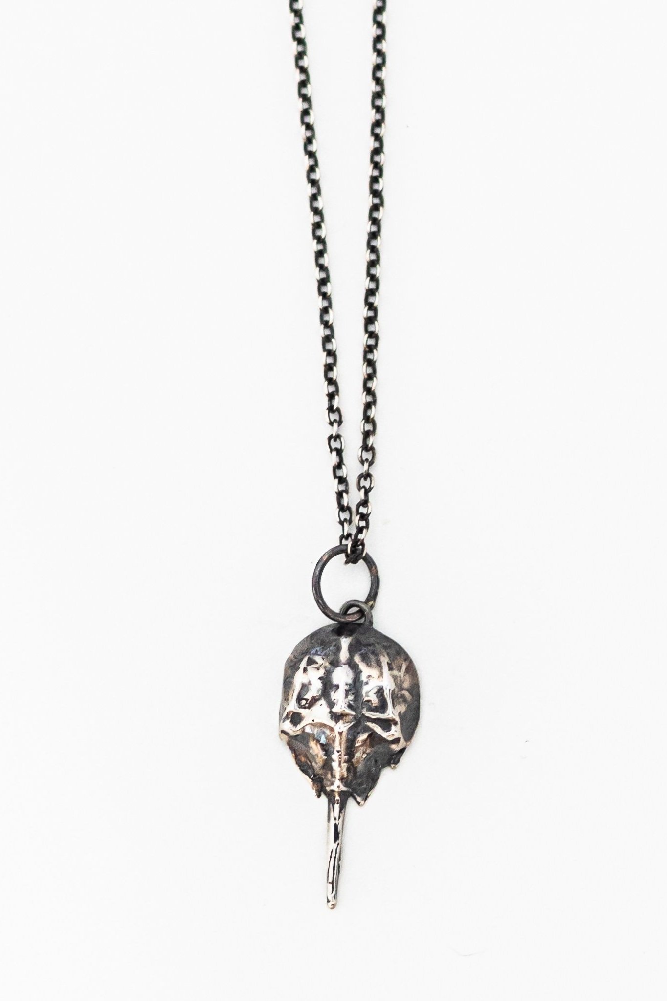 SM Horseshoe crab- Sterling