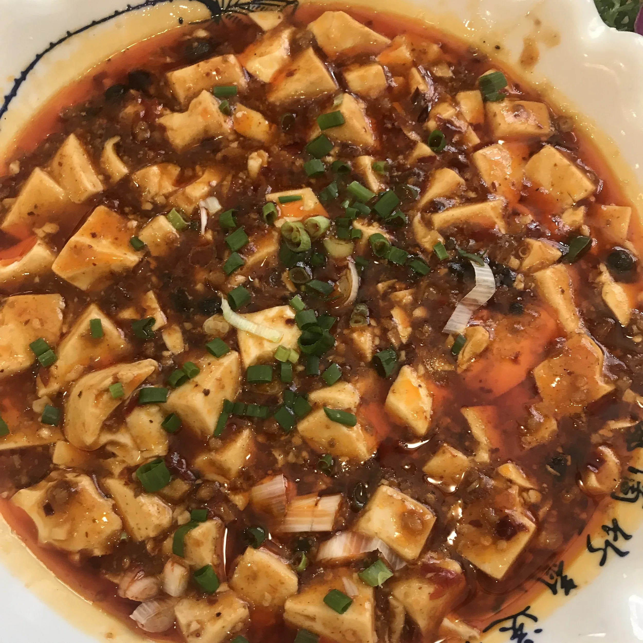 This is legitimate ma po tofu!