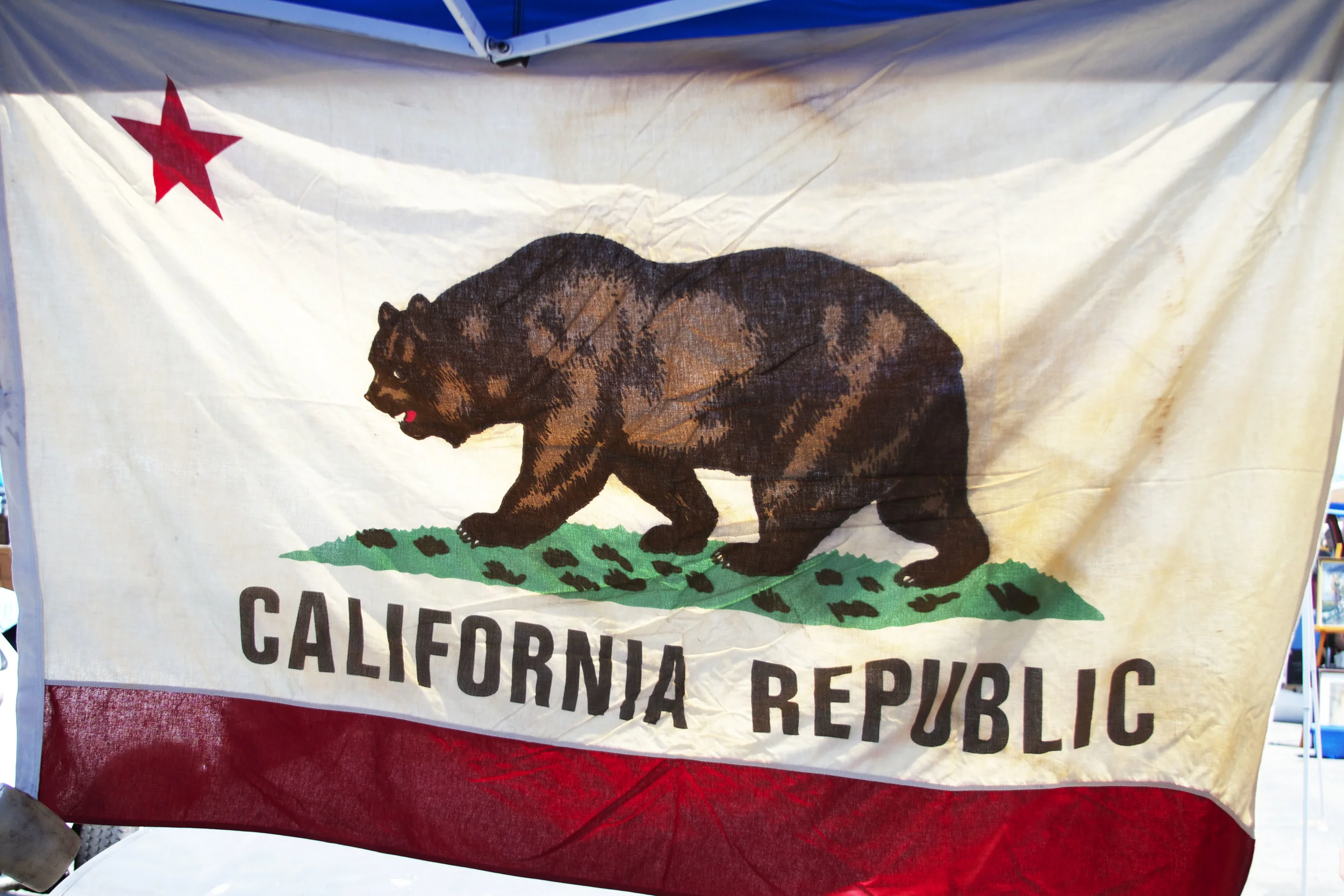CA flag.jpg
