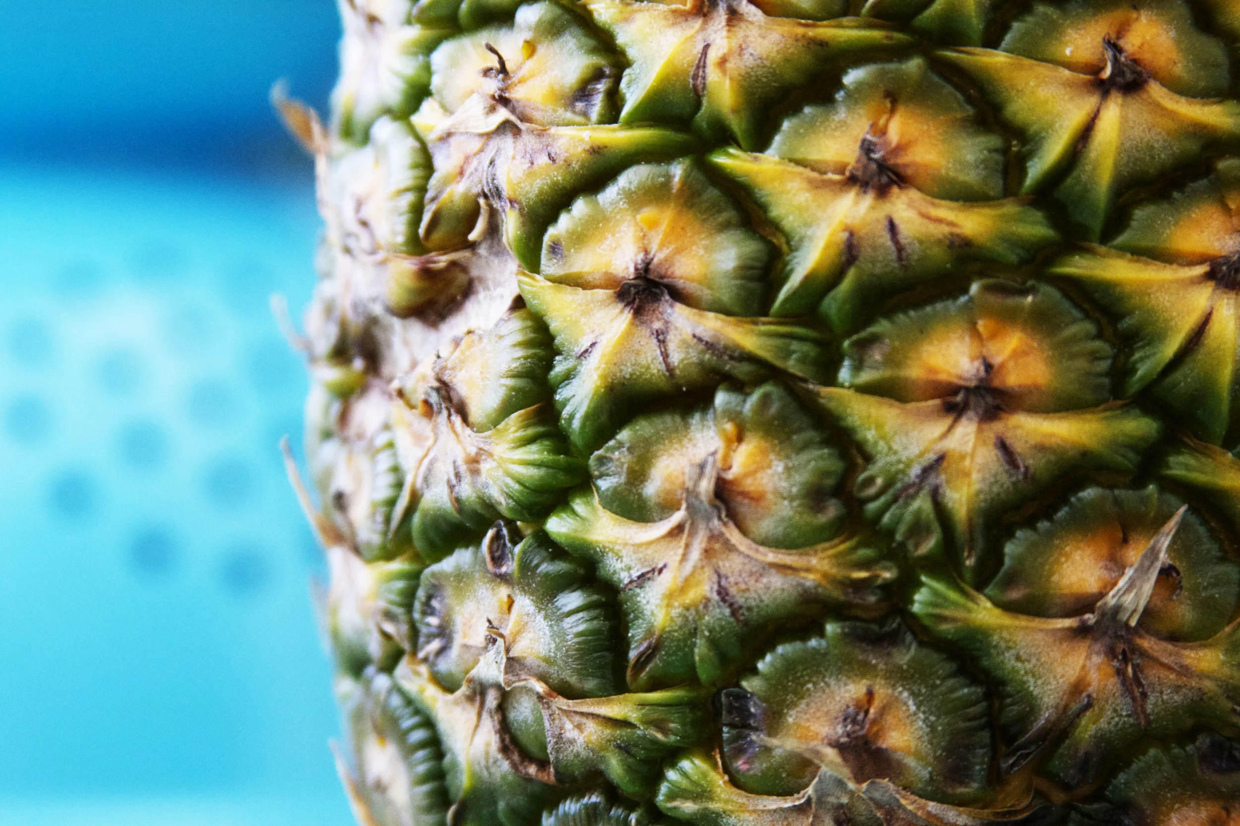 pineapple.jpg