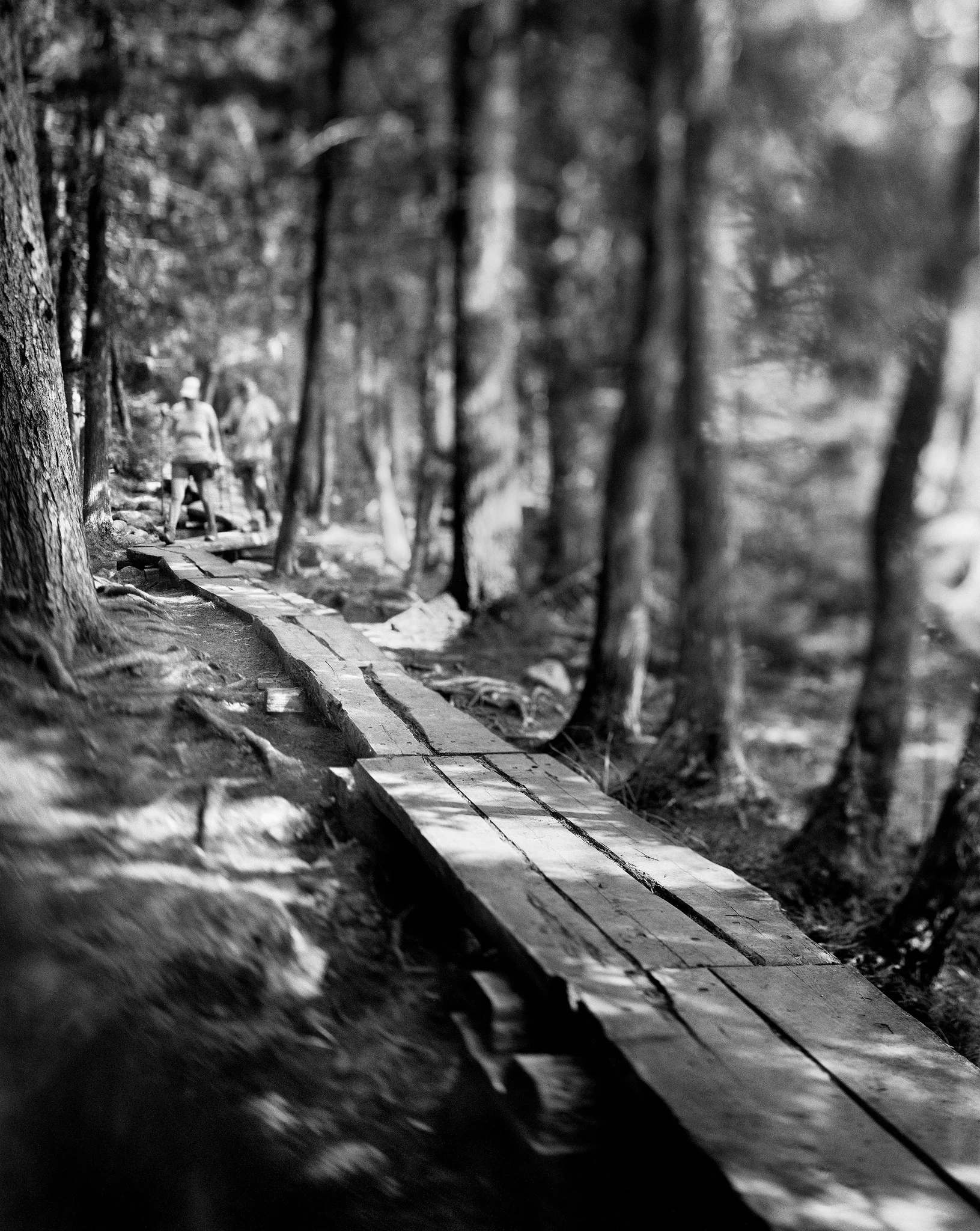 Jordan Pond Trail - Acadia National Park