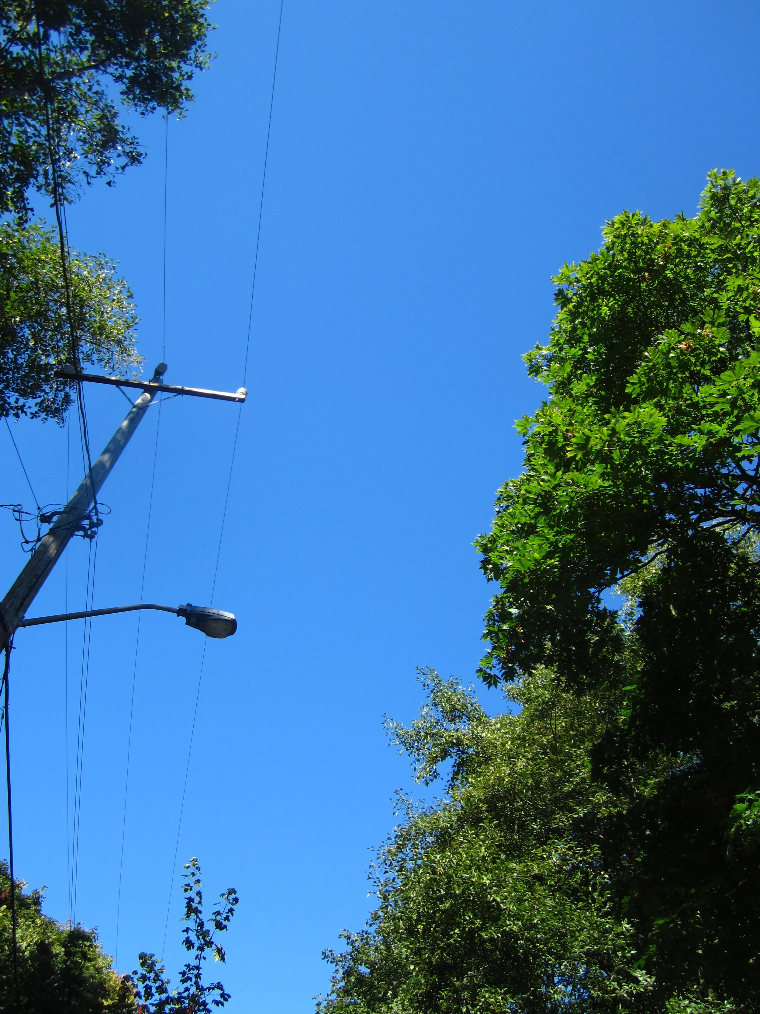 Utilities Consulting