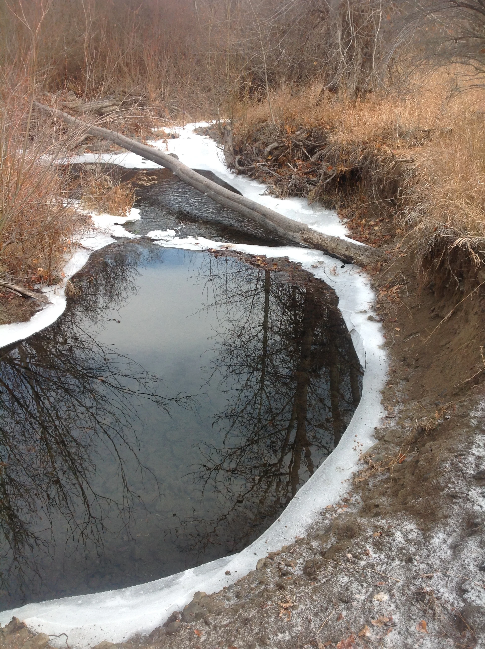 Umtanum Creek, Yakima Canyon December 2013