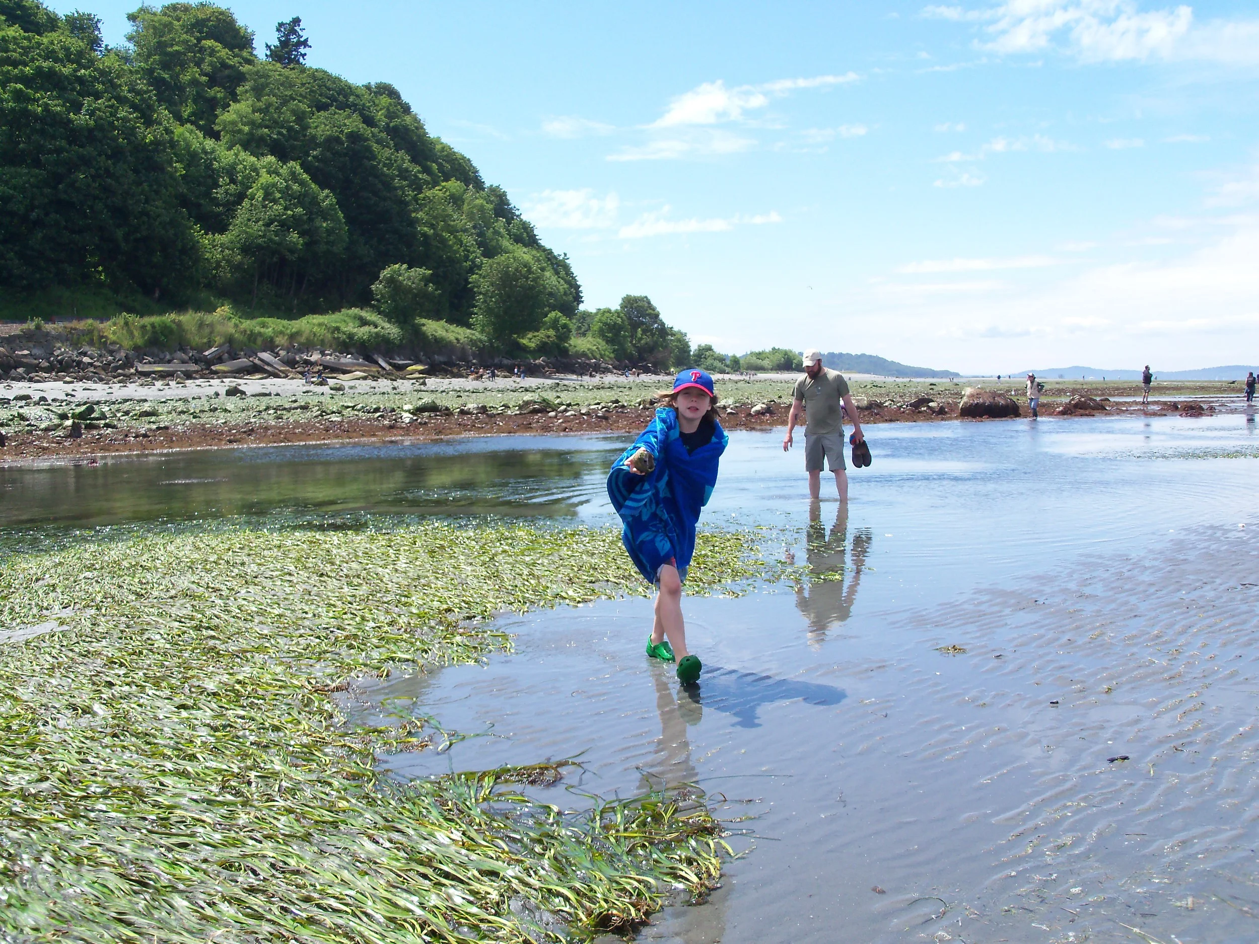 seagrasssampling.JPG