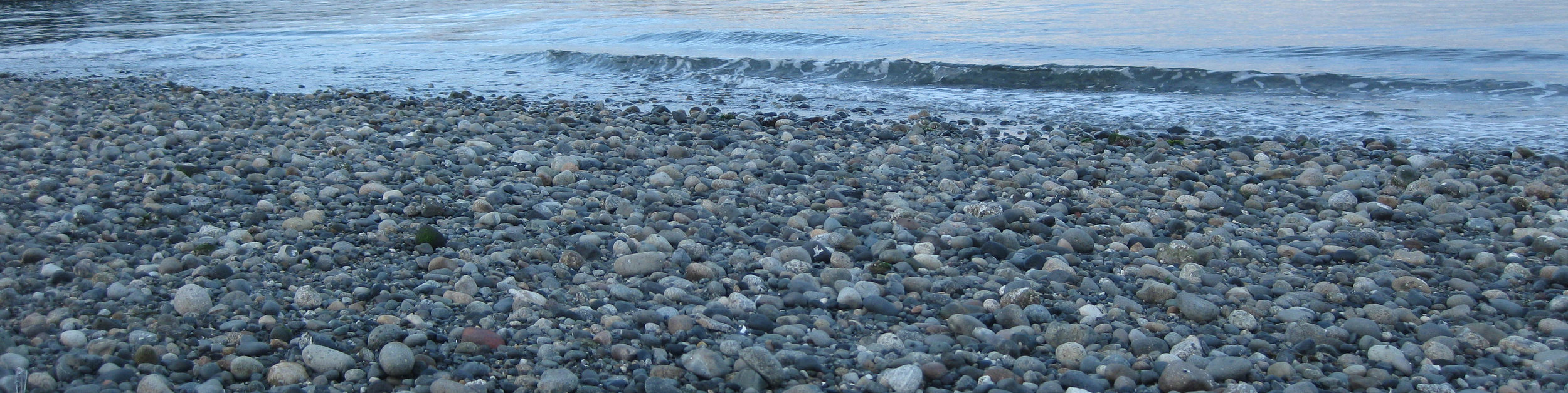 Puget Sound beach, Washington