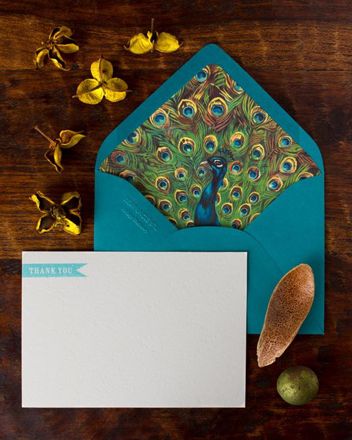 peacock-lined-stationery.jpeg