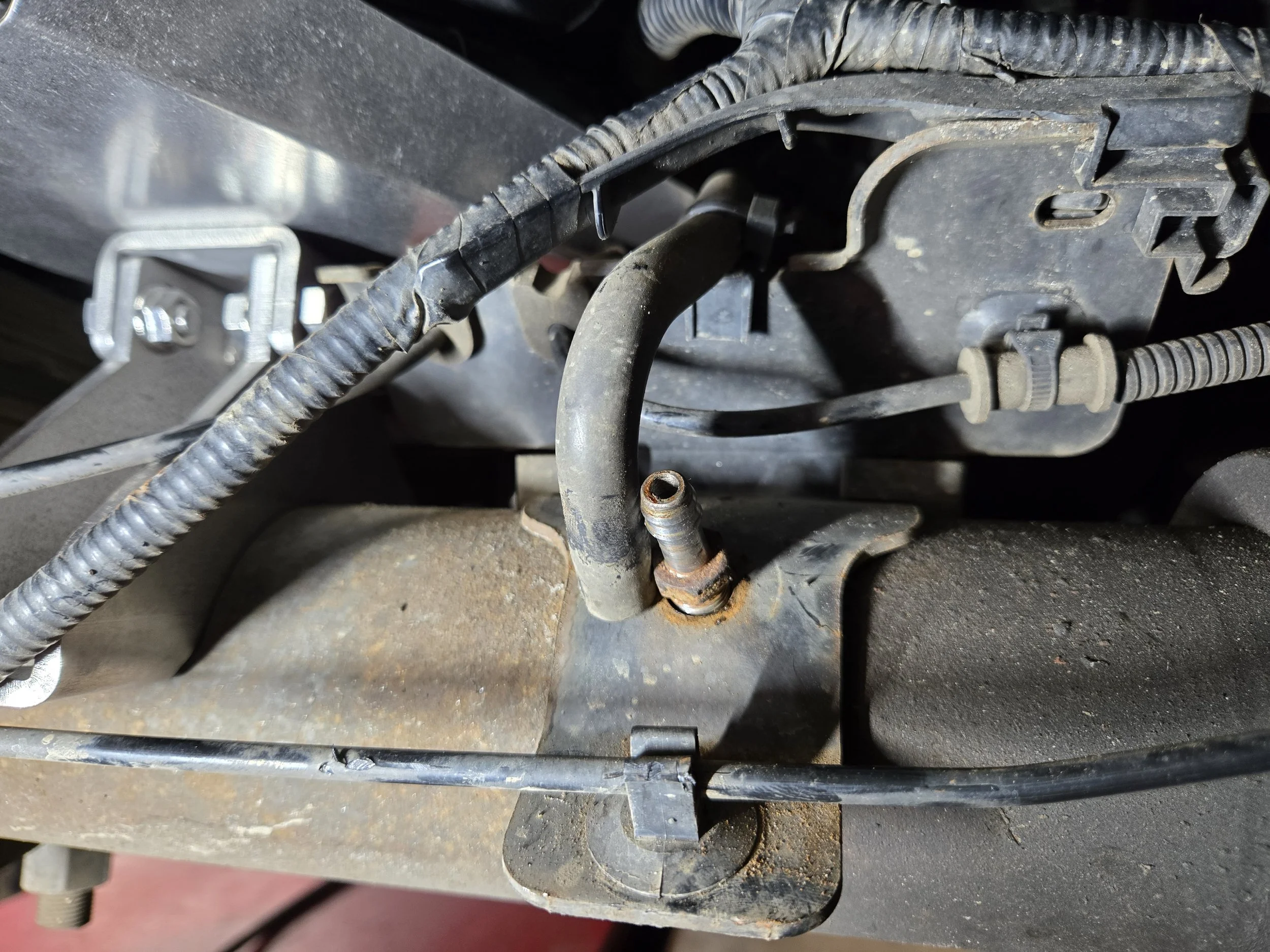 Ryan Scott-Clemmons, NC Trip (3).jpg