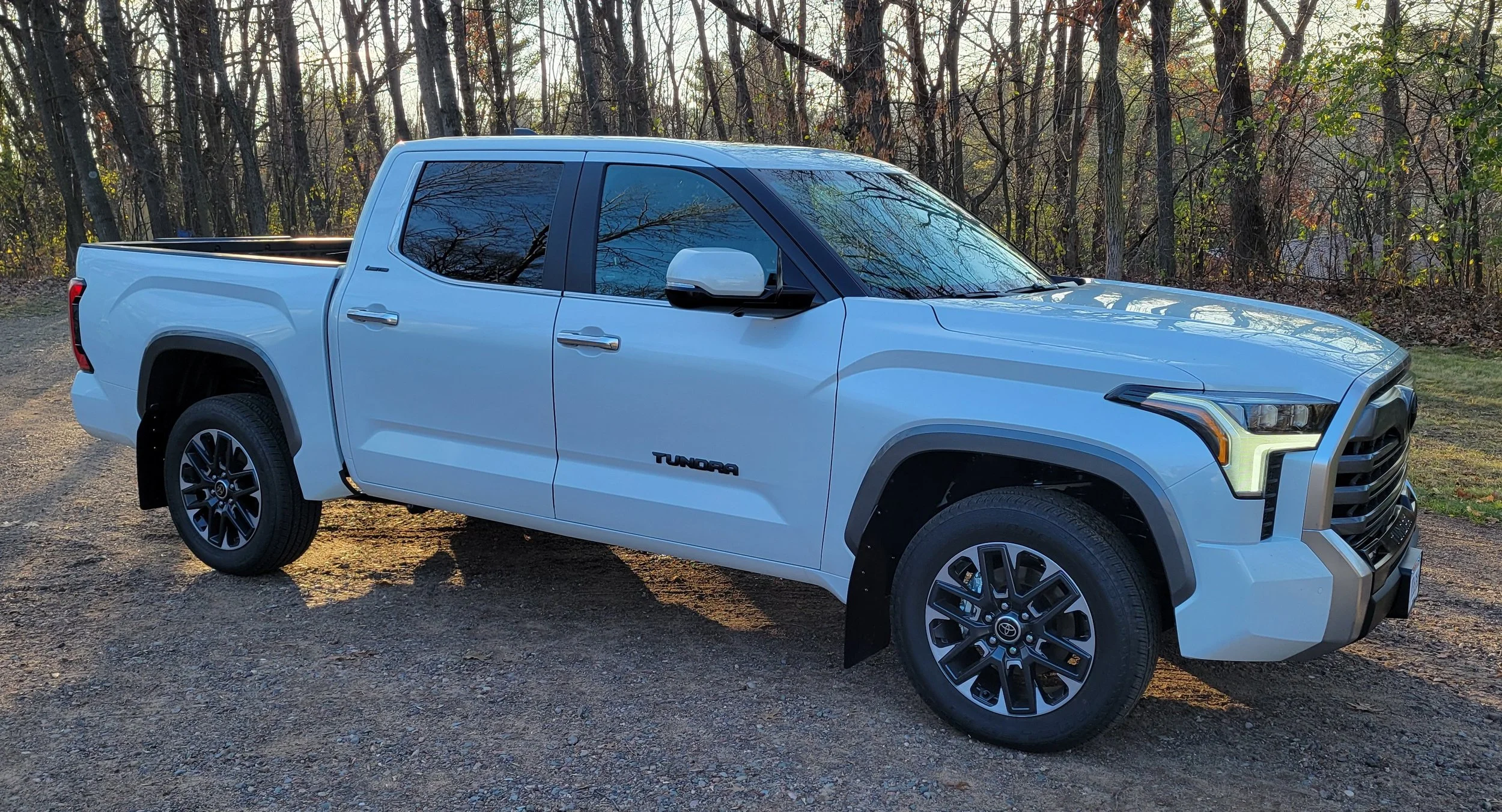 20241115_151259 RESIZED.jpg