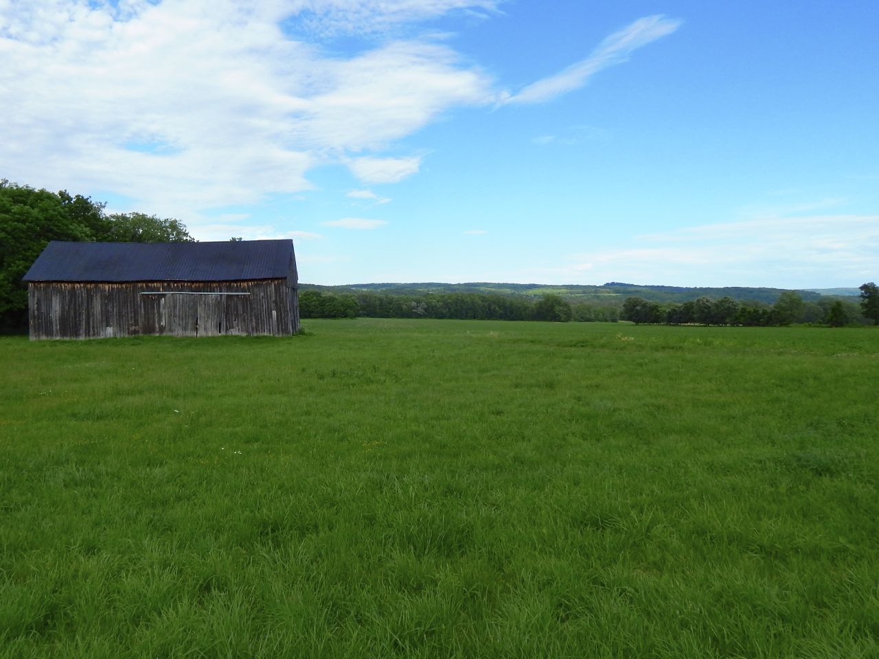 Barn in Field.jpg