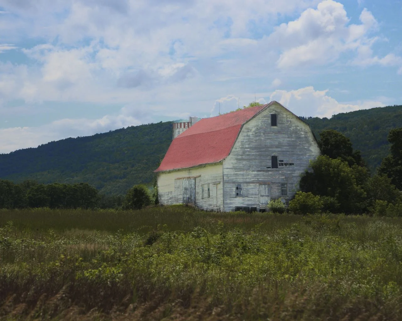 DSC_0005 - Version 3.jpg