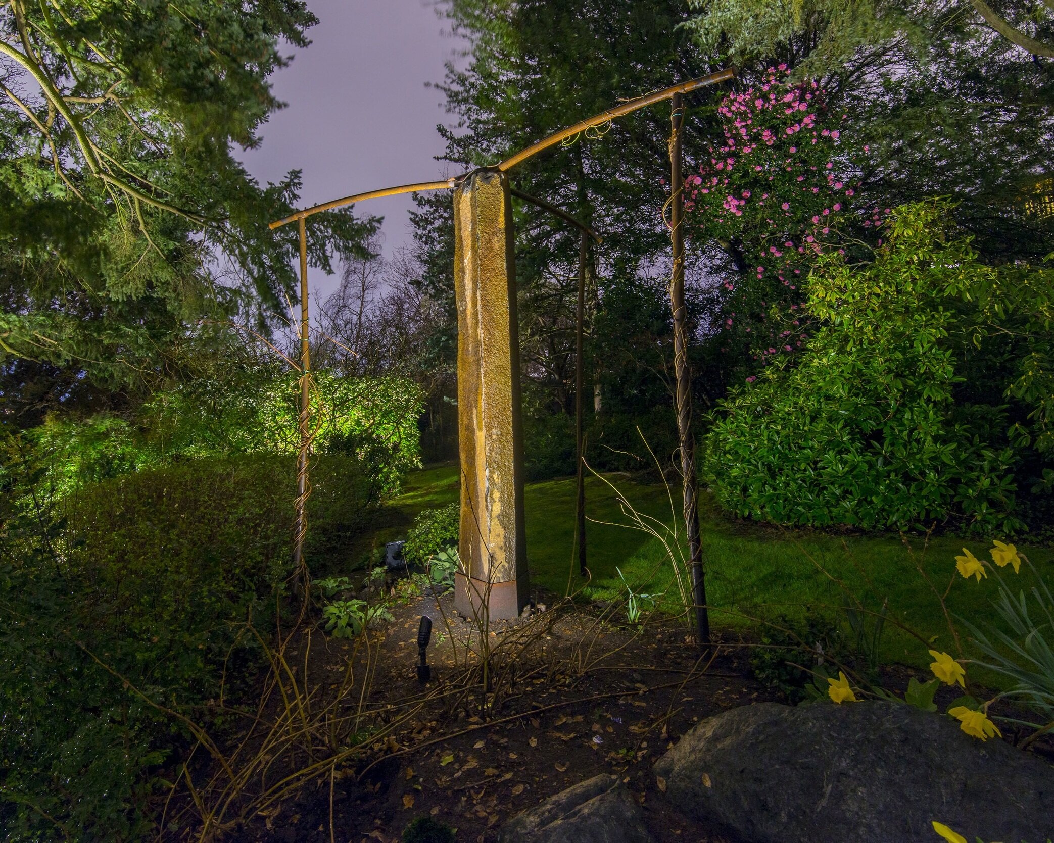 I set this 11' basalt column and a blacksmith forged the horizontal and vertical steel arms for the purpose of re-growing the Wysteria back up and around the column and out on the arms.
