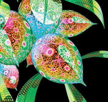 silk_bloom_ingredients-_356.gif