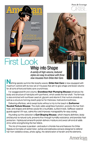 americansalon_june2013.jpg