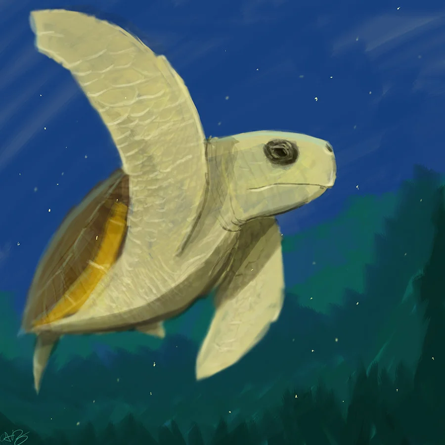 loggerhead-speed-paint3_1_orig.jpg