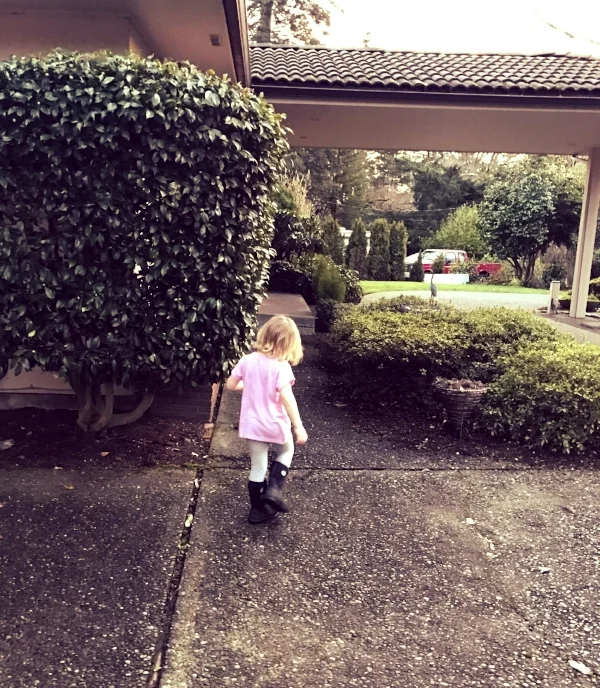 A daily trek to visit the neighbor.