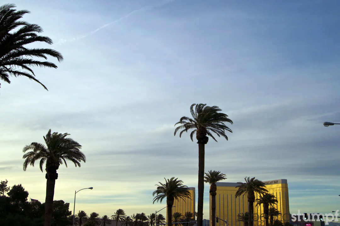 ©RebeccaStumpf_LV_Sony13e.jpg