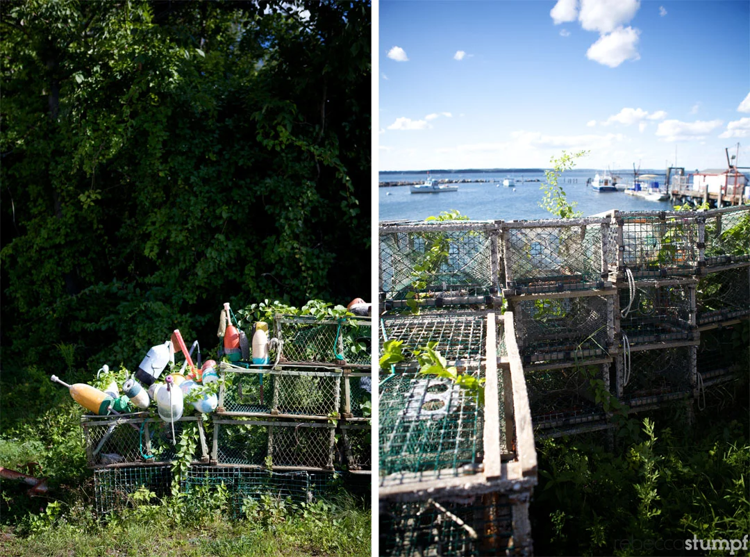 ©RebeccaStumpfPhotography_Mainetrip13E.jpg