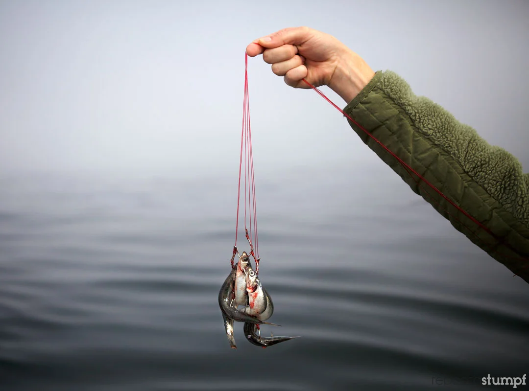 rebeccastumpf_fishing 16e.jpg