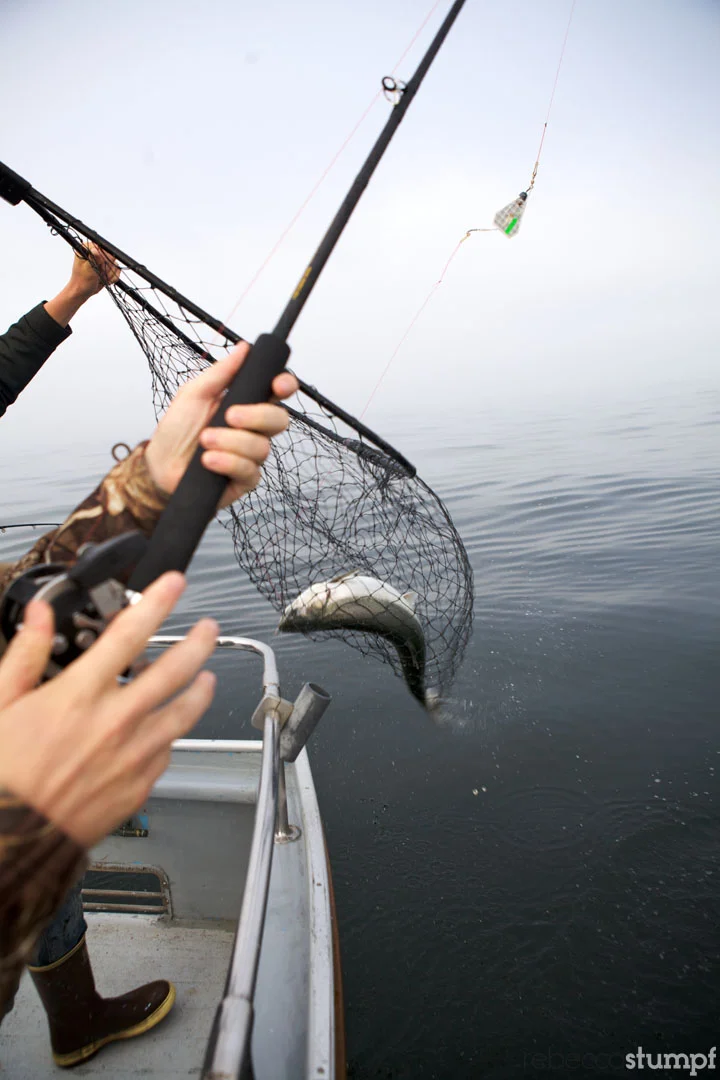 rebeccastumpf_fishing 13e.jpg