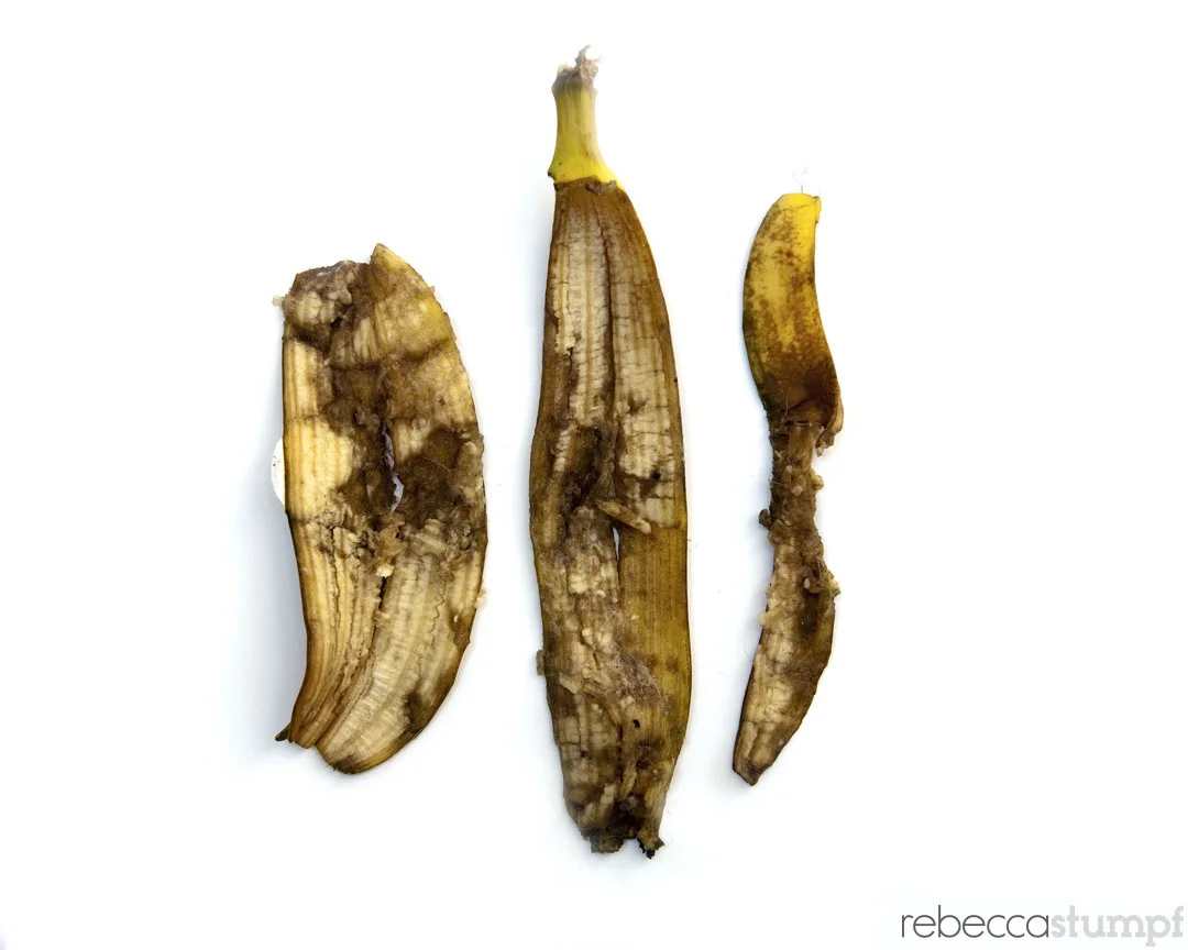 ©rebeccastumpf_chewed04E.jpg