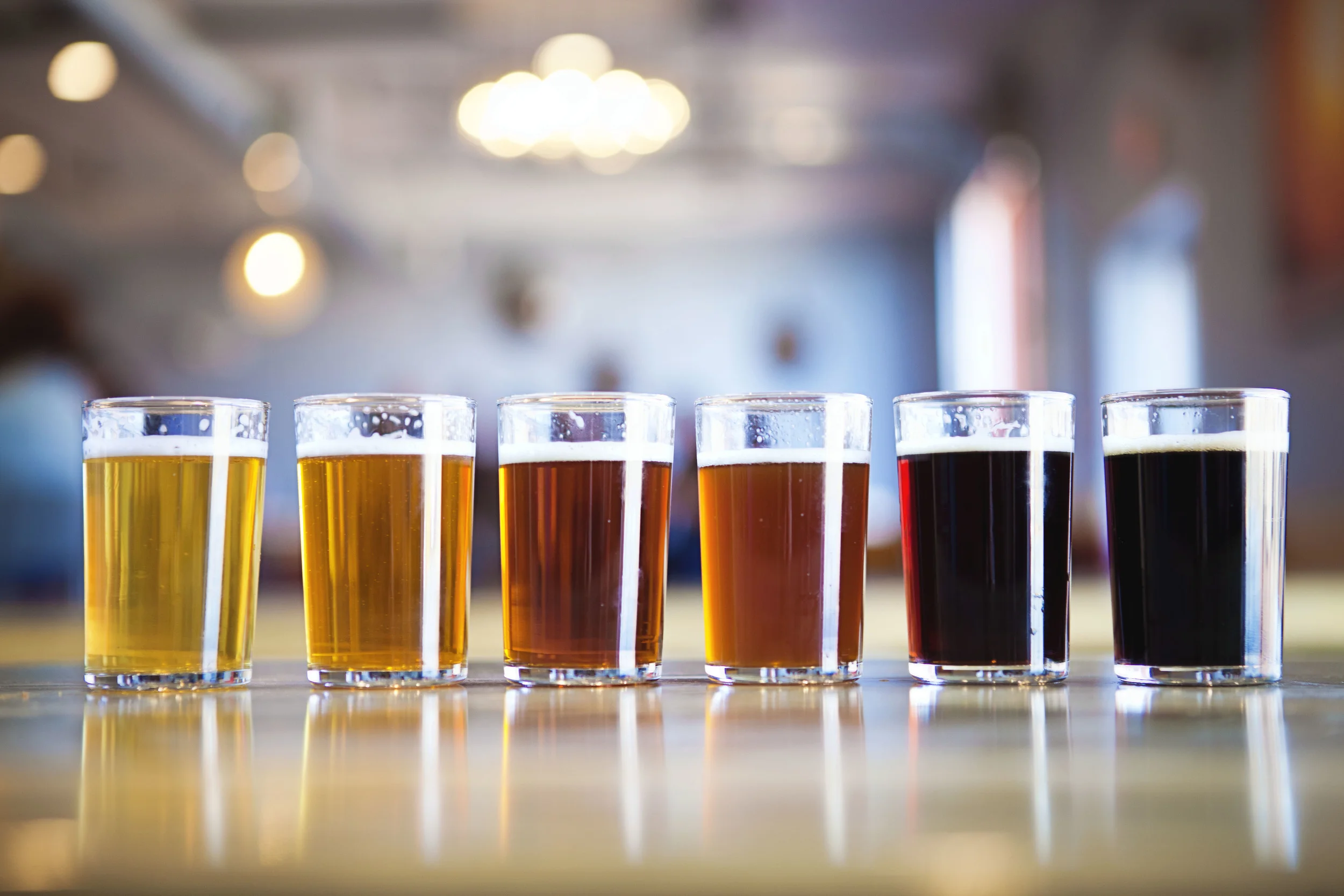 300 Suns Brewery, Longmont, Colorado