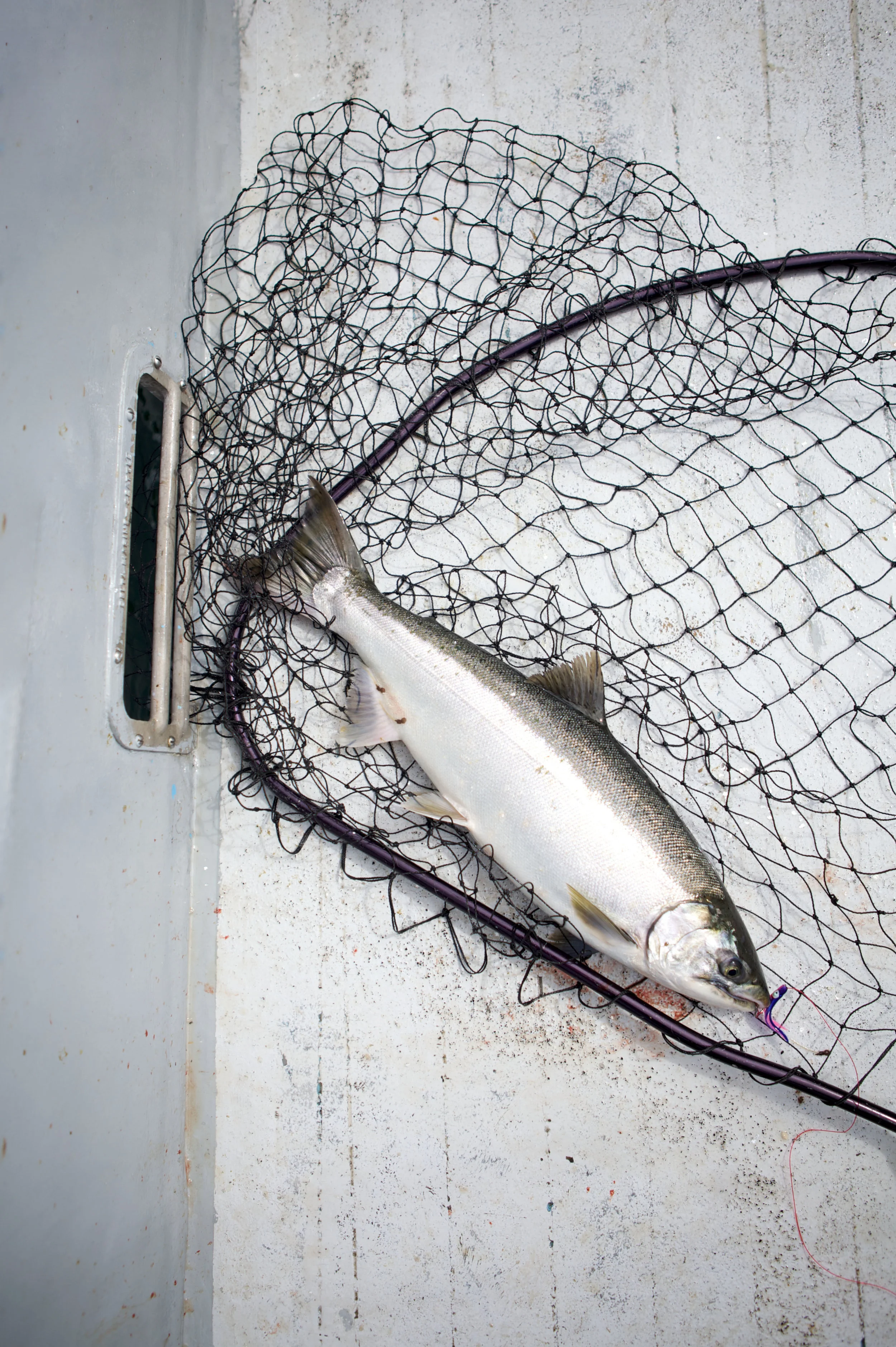 rebeccastumpf_fishing 22.jpg