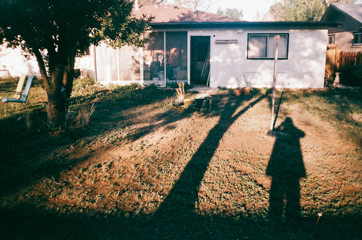 Rstumpf_35990023.jpg