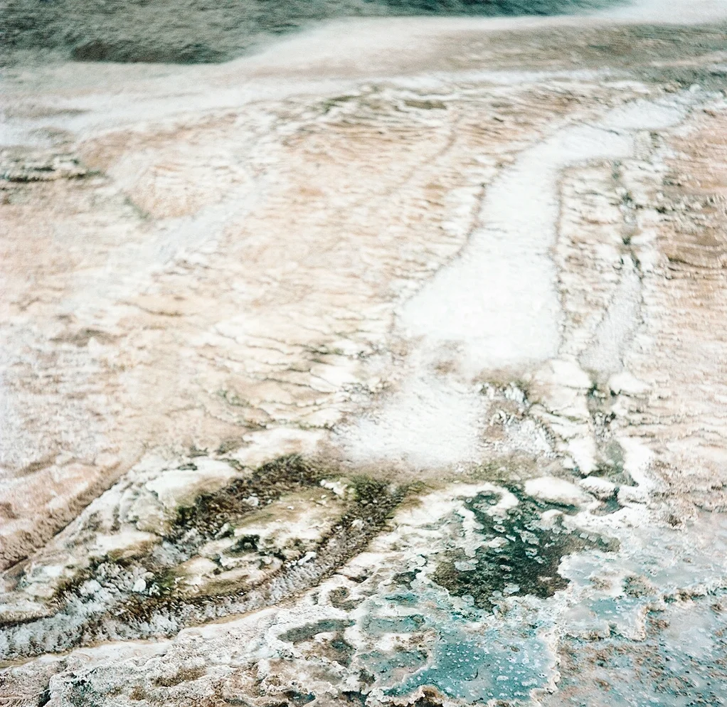 rstumpf_08510011.jpg