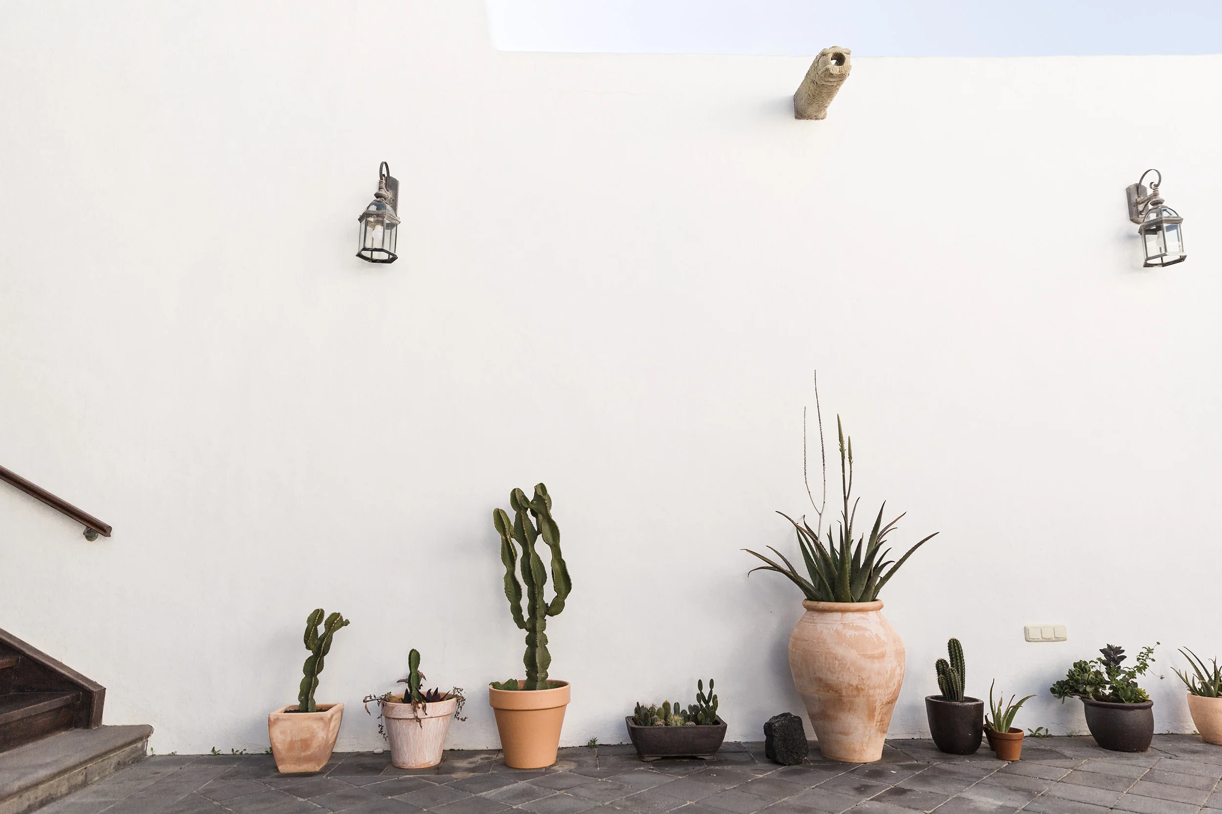 Simple cacti in the Canary Islands by Rebecca Stumpf, Denver Boulder Colorado Editorial and Commercial Photographer.