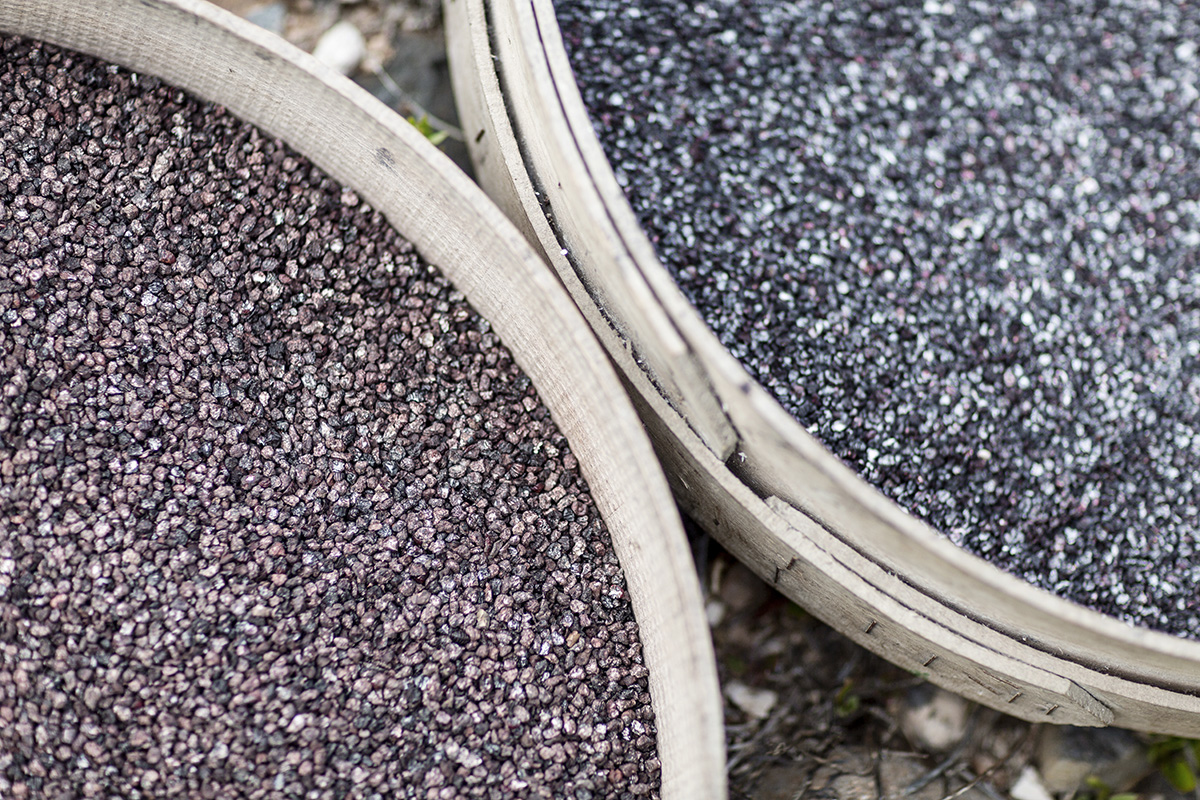 Detail of dried cochineal ready to be used for natural dyes by RebeccaStumpf.Food.Travel.Lifestyle.Denver.Boulder.Colorado.Photographer