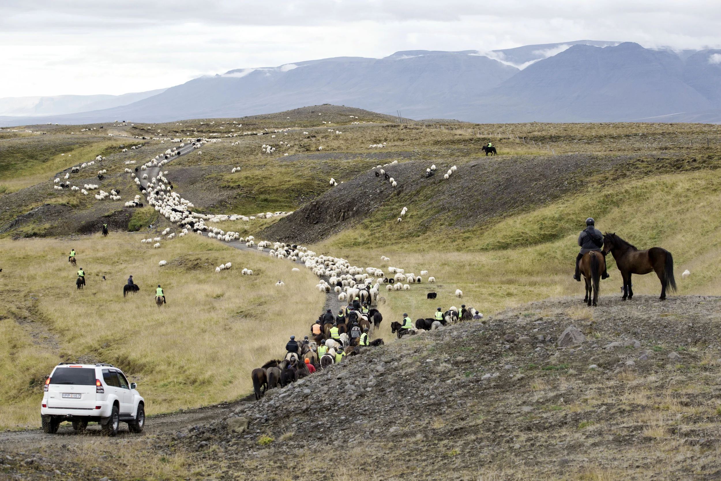 RebeccaStumpf.Food.Travel.Lifestyle.Denver.Boulder.Colorado.Photographer_LATimes_IcelandSheepherding_3641.jpg